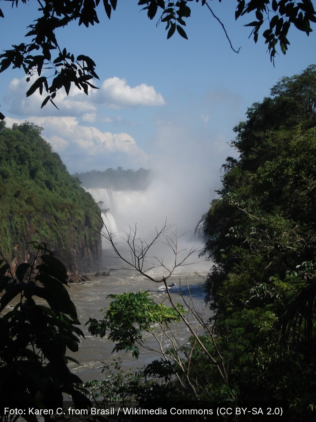 Iguazú Falls — Foto: Karen C. from Brasil / Wikimedia Commons (CC BY-SA 2.0)