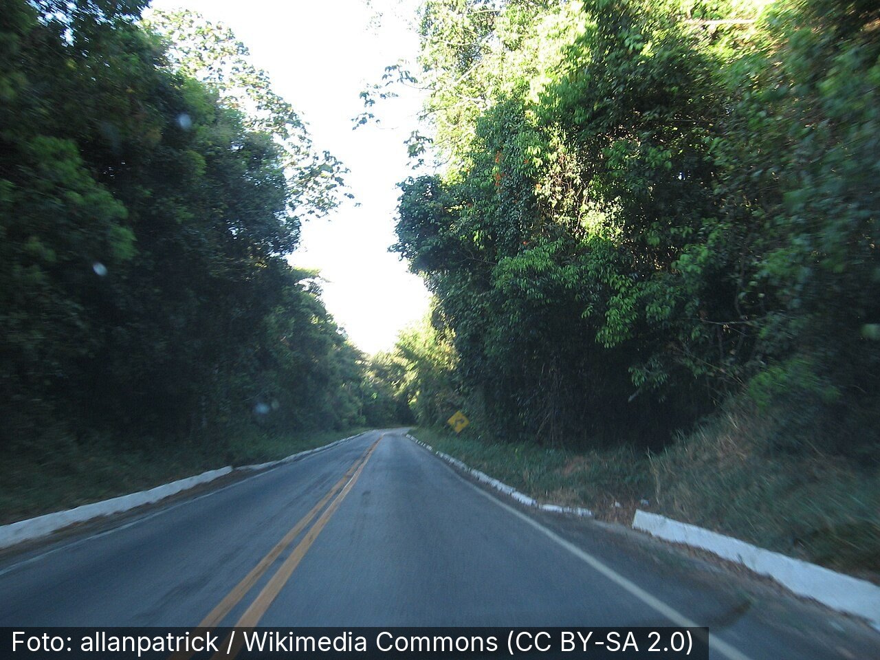 Floresta Nacional do Araripe-Apodi — Foto: allanpatrick / Wikimedia Commons (CC BY-SA 2.0)