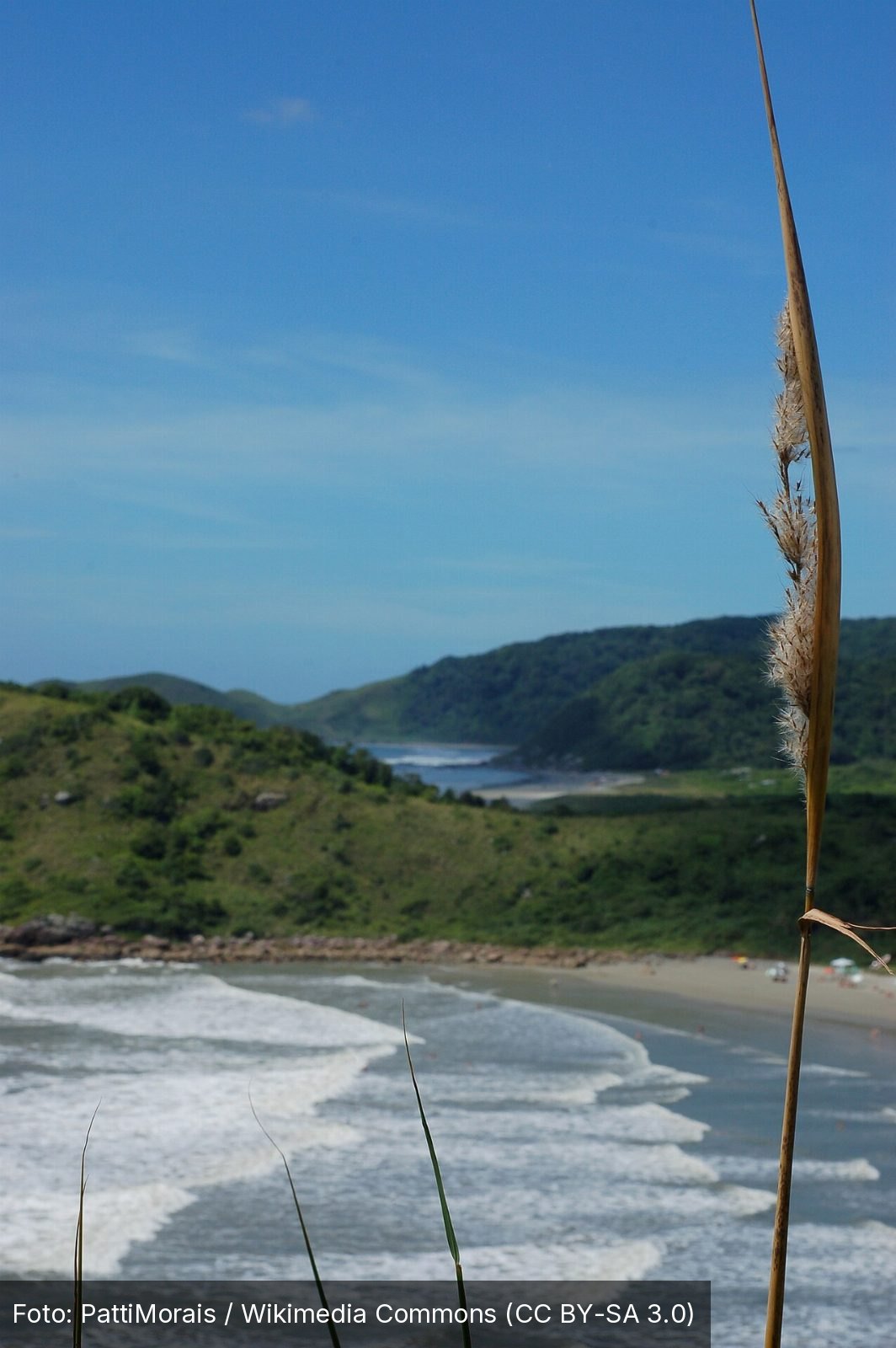 Praia de Fora — Foto: PattiMorais / Wikimedia Commons (CC BY-SA 3.0)