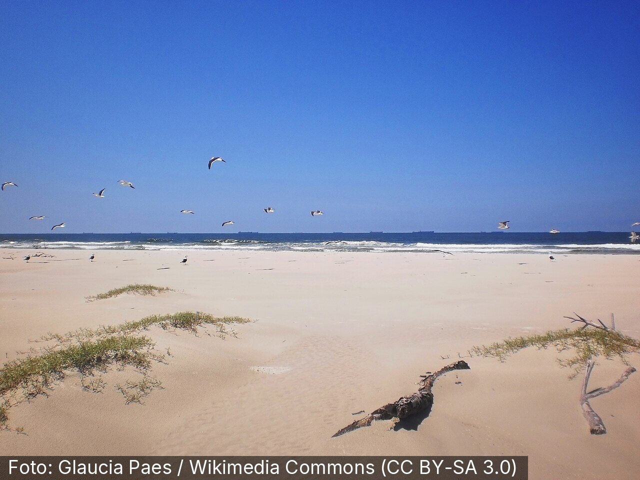 Praia de Fora — Foto: Glaucia Paes / Wikimedia Commons (CC BY-SA 3.0)