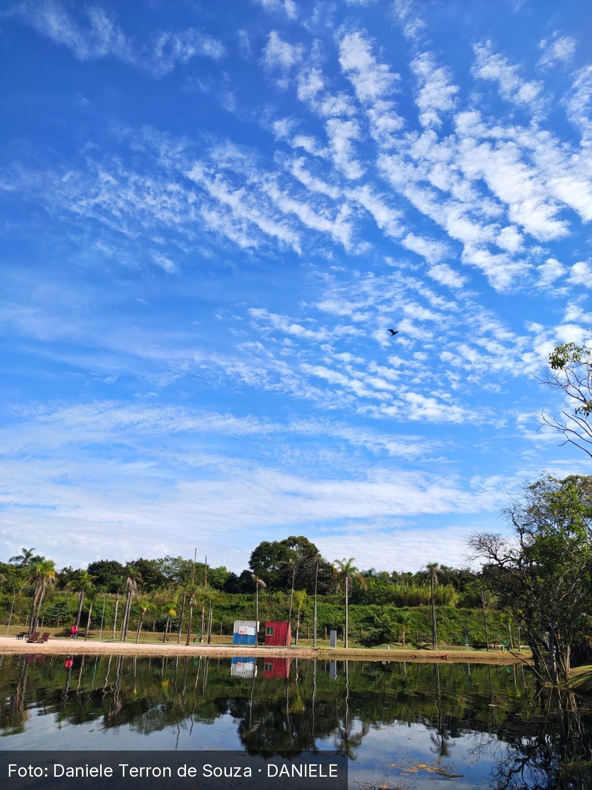 Parque da Cidade