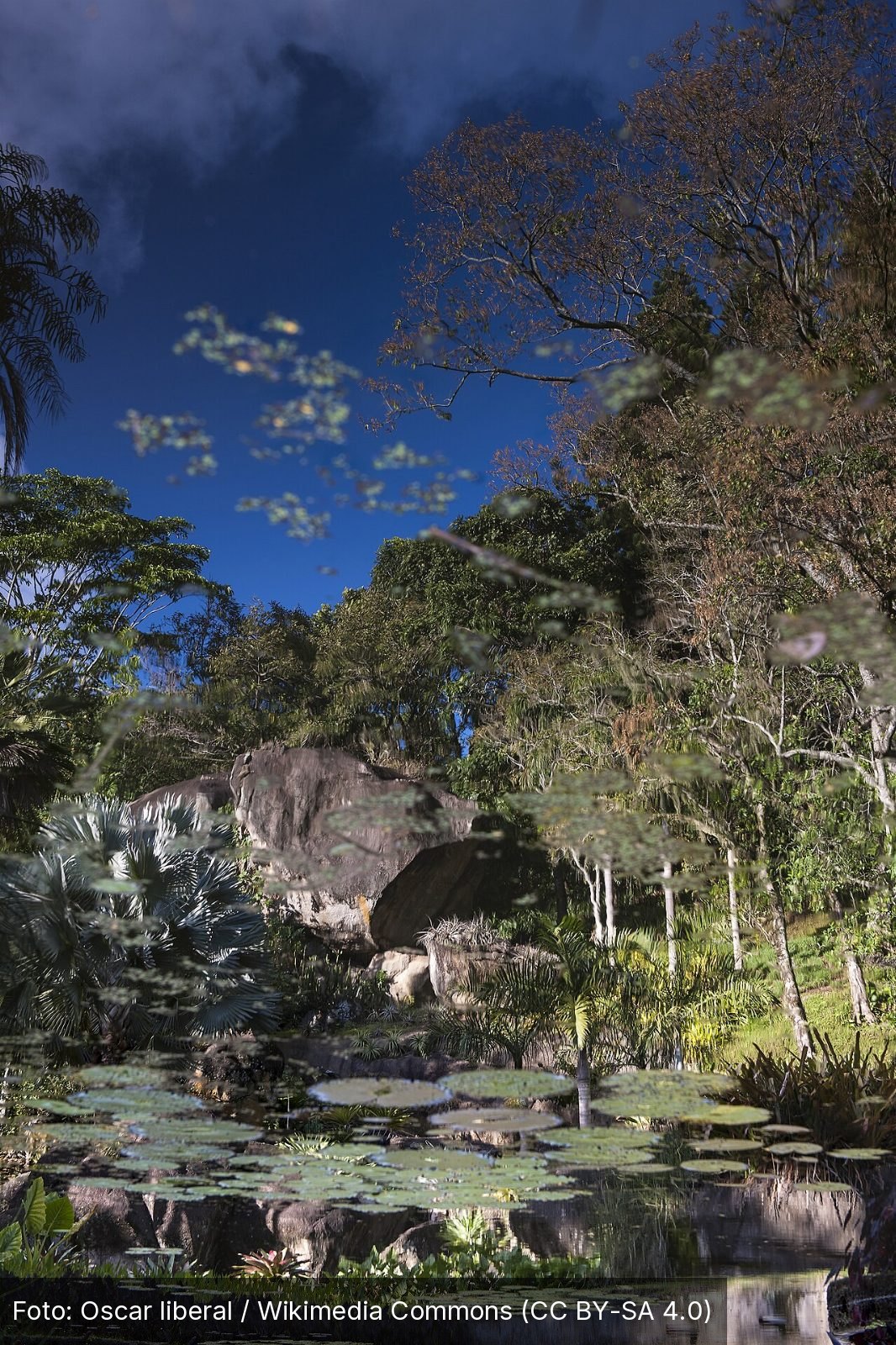 Sítio Roberto Burle Marx — Foto: Oscar liberal / Wikimedia Commons (CC BY-SA 4.0)