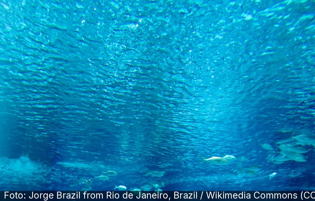 AquaRio