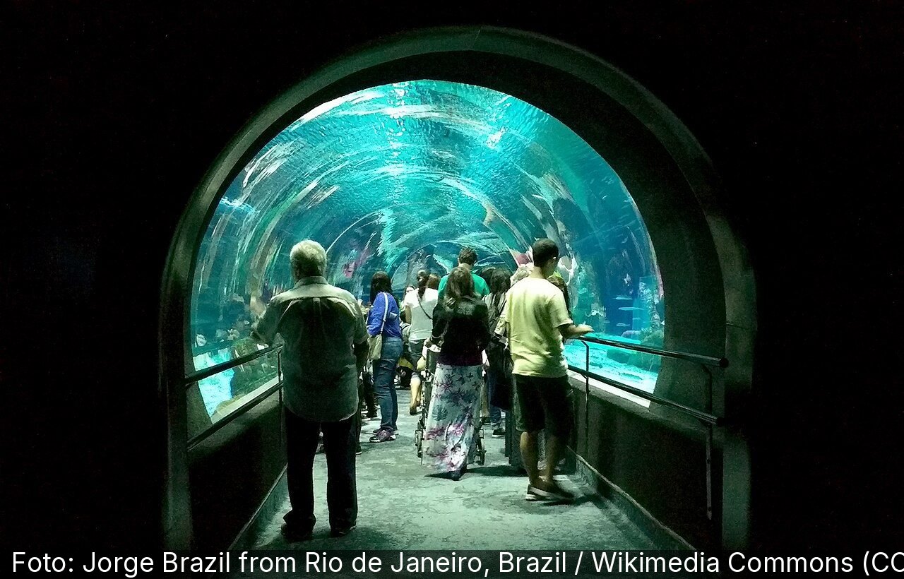 AquaRio
