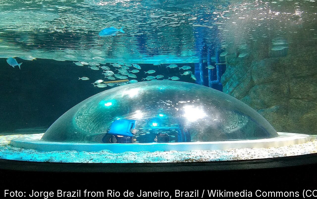 AquaRio