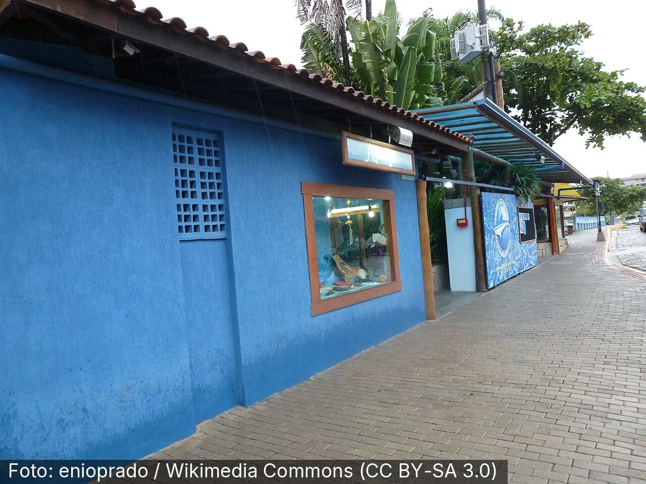 Aquário de Ubatuba — Foto: enioprado / Wikimedia Commons (CC BY-SA 3.0)