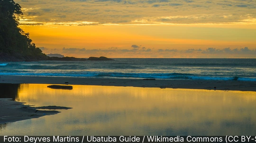 Praia de Itamambuca — Foto: Deyves Martins / Ubatuba Guide / Wikimedia Commons (CC BY-SA 2.0)
