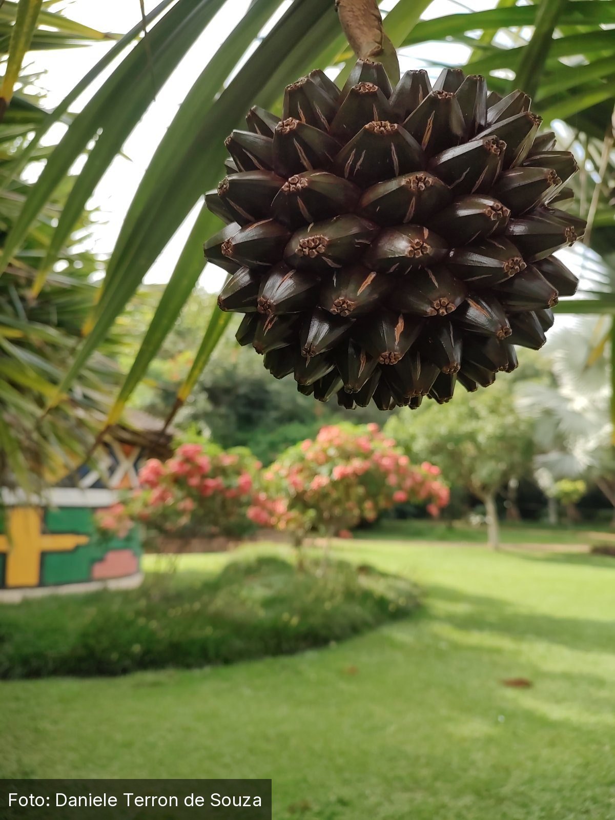 Parque Jardim Botânico de Jundiaí