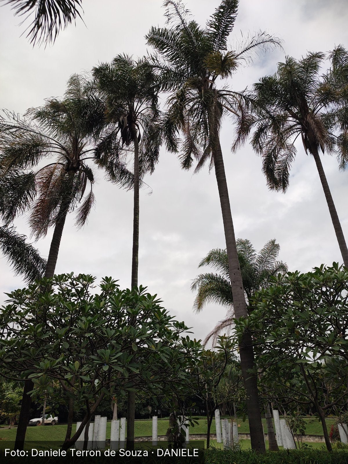 Parque Jardim Botânico de Jundiaí