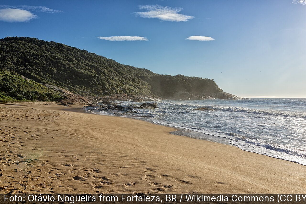 Praia do Pinho — Foto: Otávio Nogueira from Fortaleza, BR / Wikimedia Commons (CC BY 2.0)