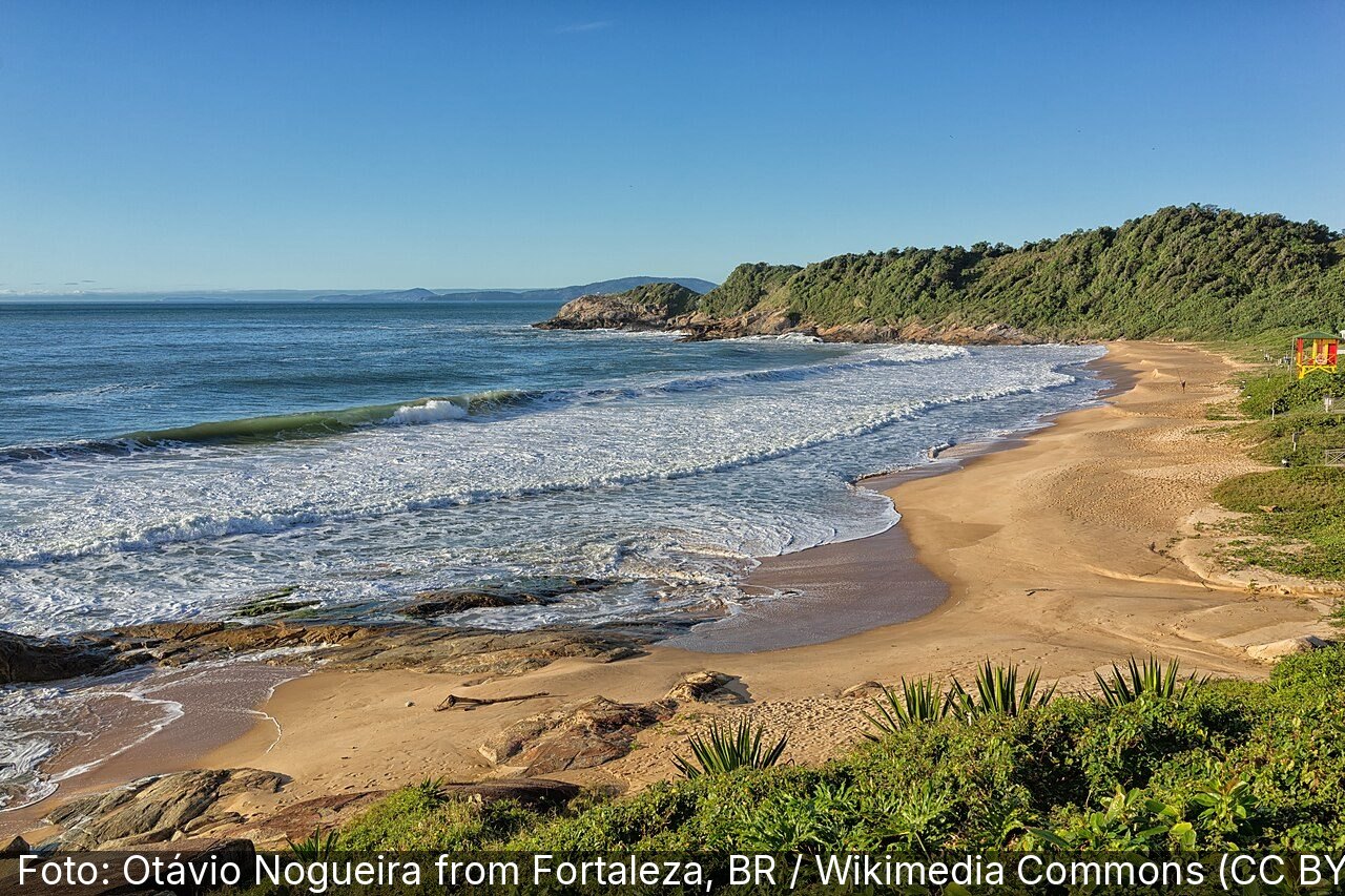 Praia do Pinho — Foto: Otávio Nogueira from Fortaleza, BR / Wikimedia Commons (CC BY 2.0)