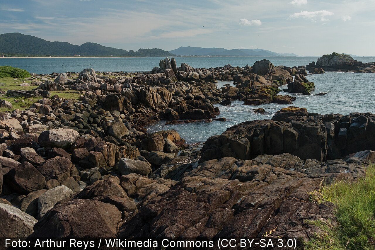 Praia da Armação — Foto: Arthur Reys / Wikimedia Commons (CC BY-SA 3.0)