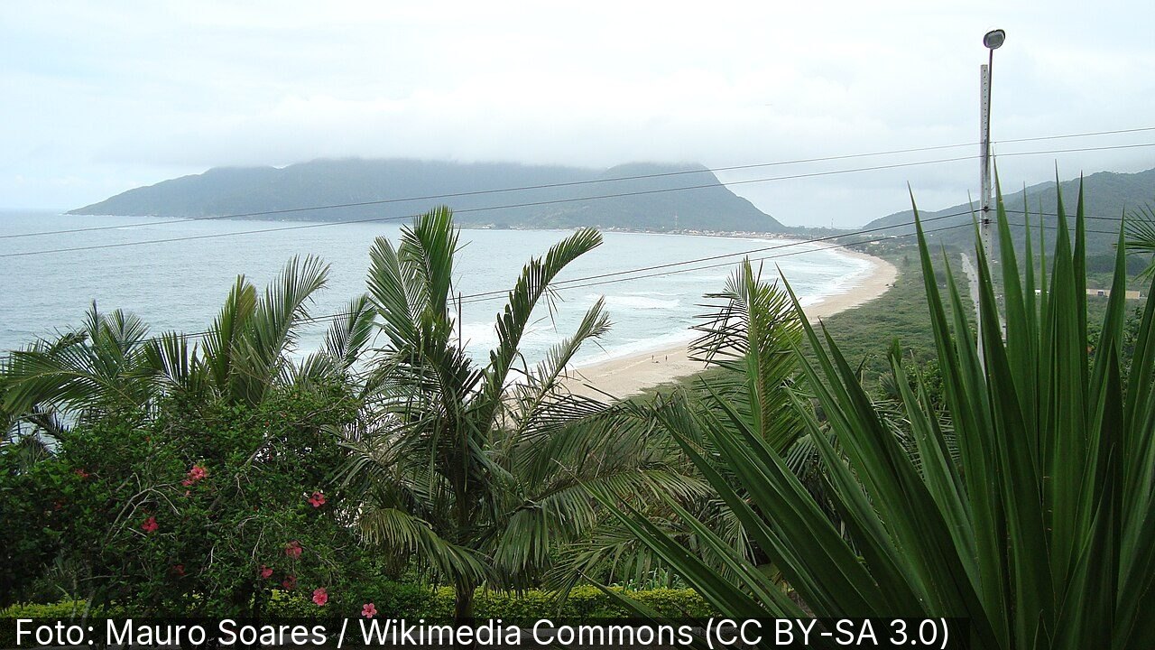 Praia da Armação — Foto: Mauro Soares / Wikimedia Commons (CC BY-SA 3.0)