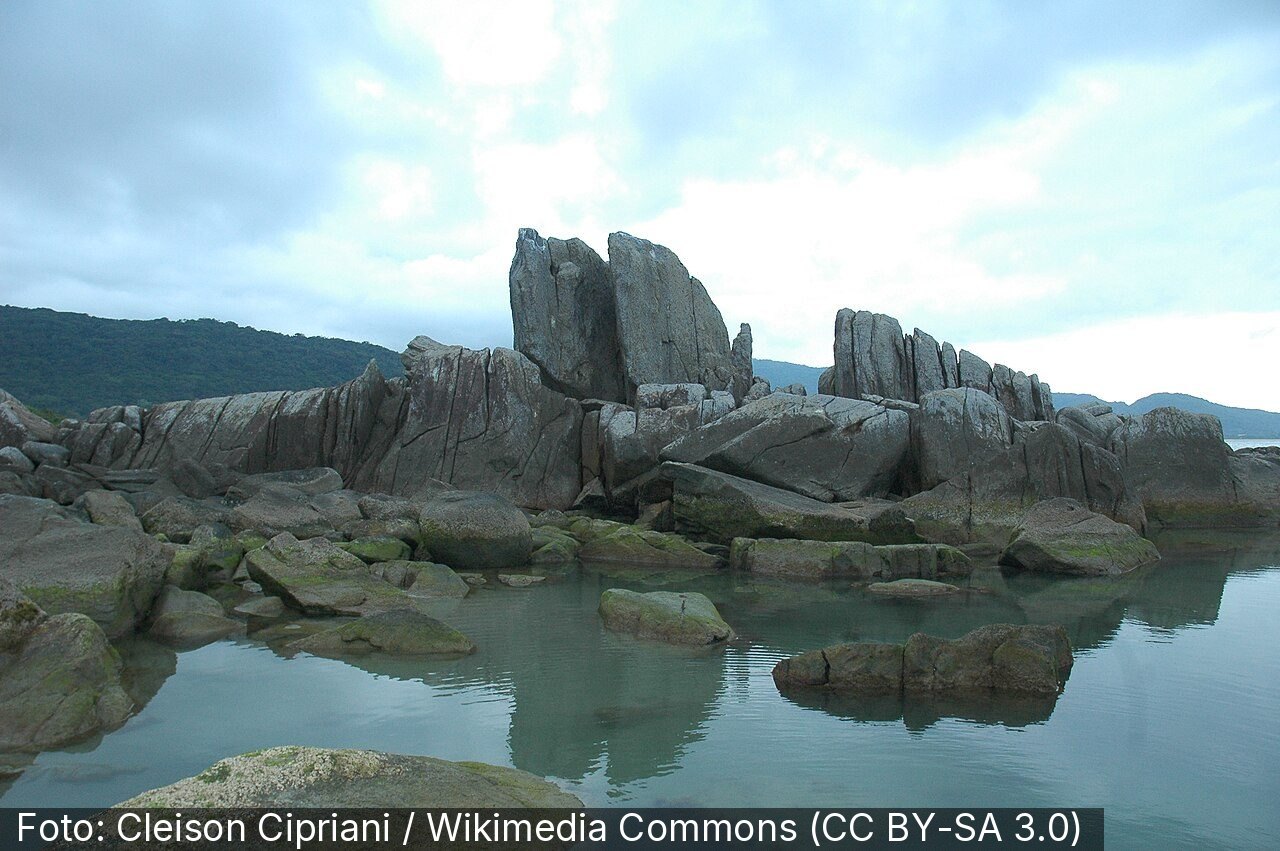 Praia da Armação — Foto: Cleison Cipriani / Wikimedia Commons (CC BY-SA 3.0)