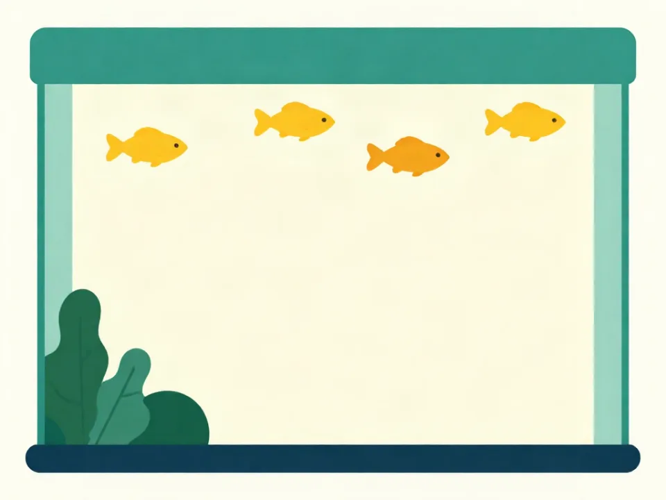 Ilustração — Ponta Porã