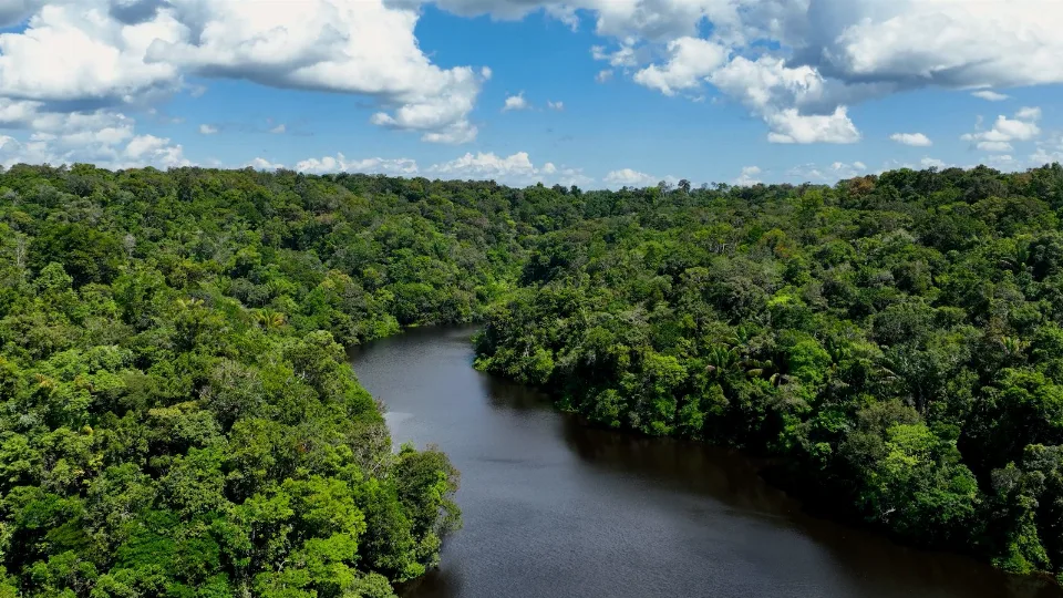 Amazonas, AM