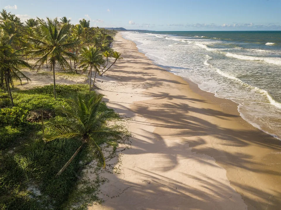 Bahia, BA