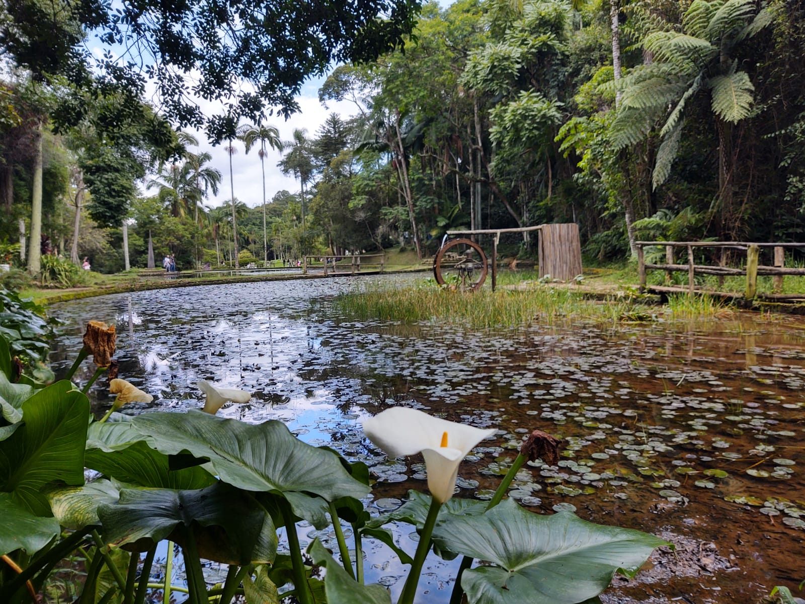 Passeio no Jardim Botânico com Biólogo. — foto 2 de 3