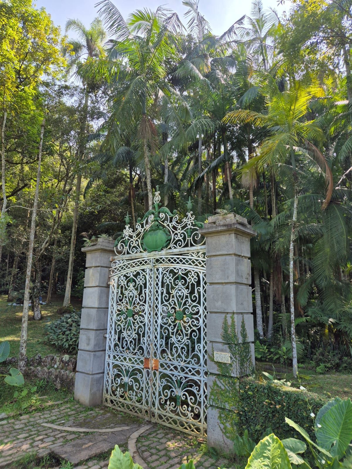 Passeio no Jardim Botânico com Biólogo. — foto 3 de 3