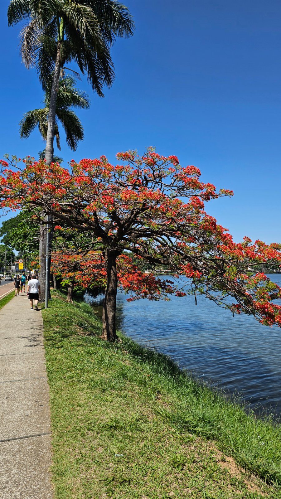 A Pampulha modernista, venha conhecer essa história em uma caminhada turística