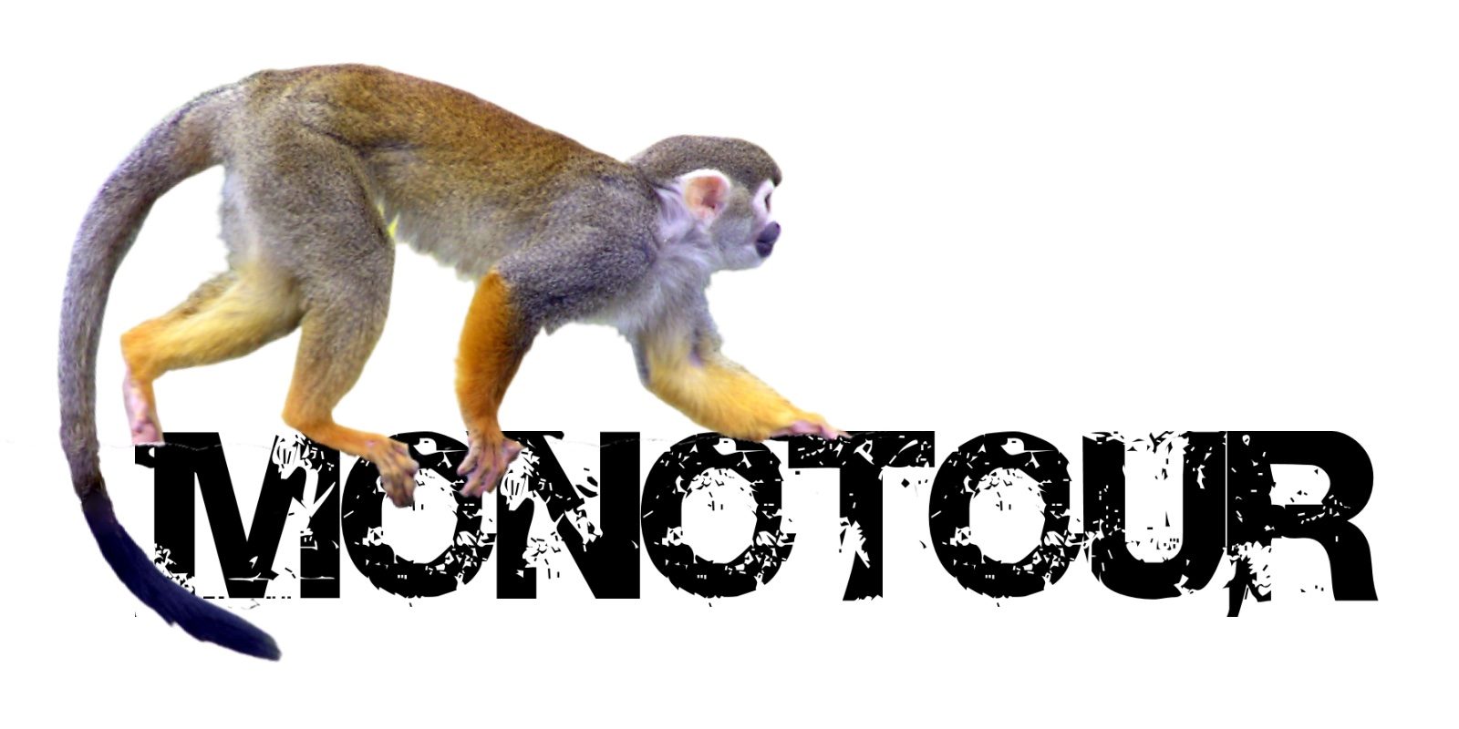 MONOTOUR