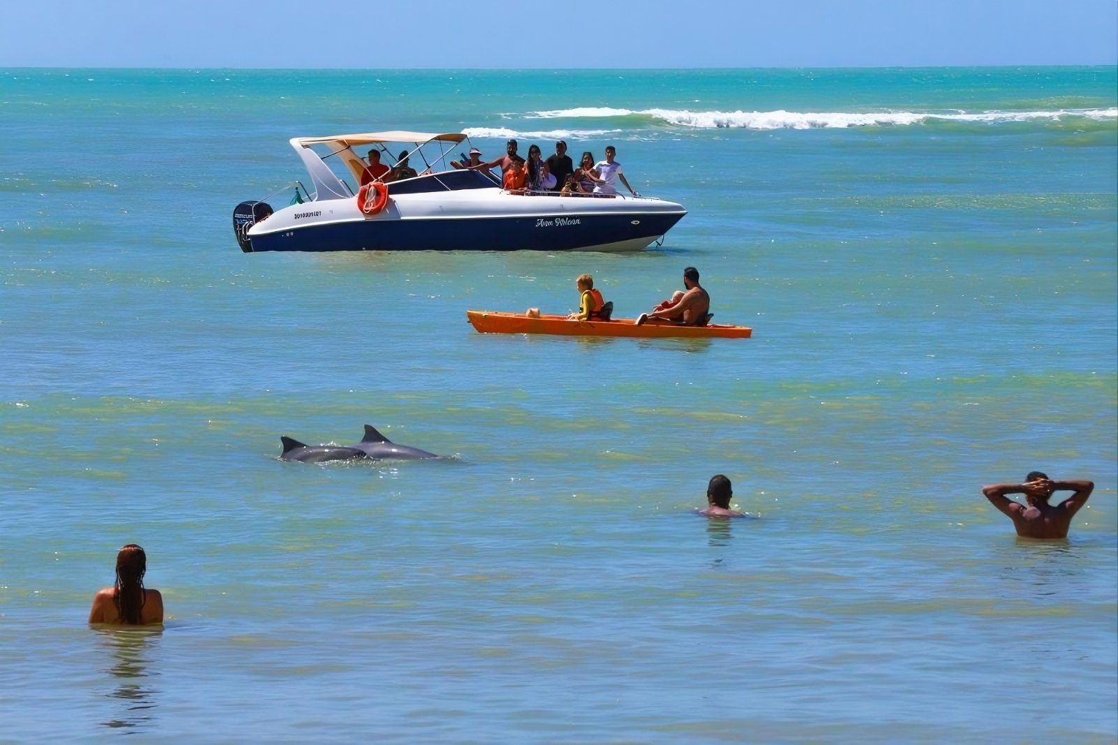 Passeio de Lancha com Avistamento e Nado com Golfinhos em Pipa — foto 2 de 3