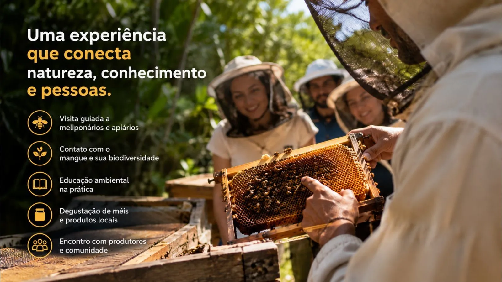 Imersão em apicultura — foto 3 de 3