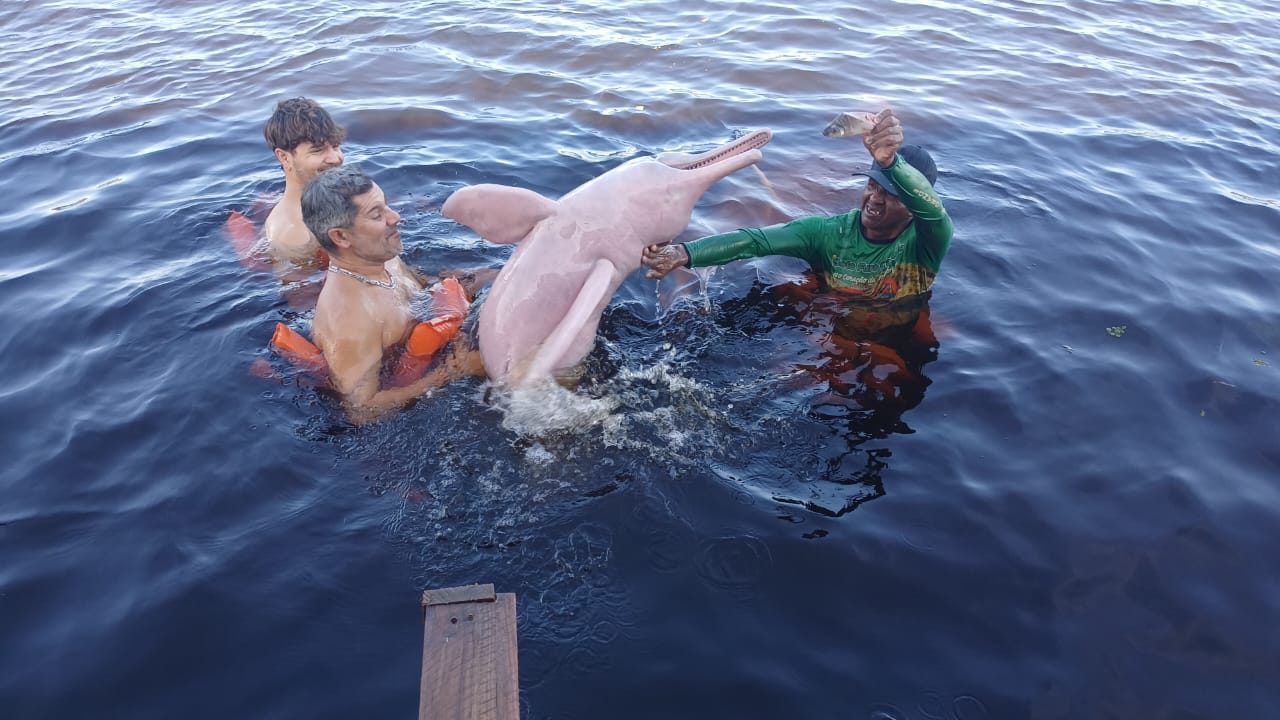 Experiência Amazônica: Visita de 5 Horas à Comunidade Indígena Tuiuka + Nado com Botos Cor-de-Rosa + Almoço — foto 7 de 7