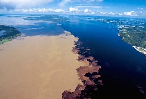 Encontro das Águas & Lago Janauari – Passeio de Lancha Rápida de 4 Horas