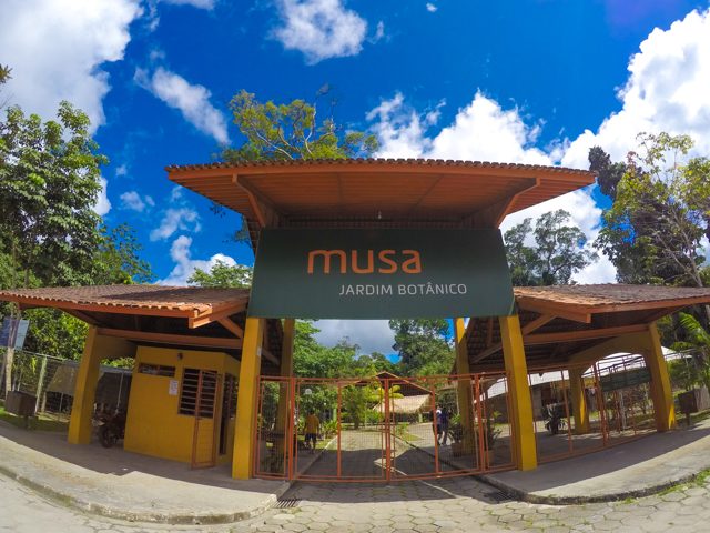 Tour Museus MUSA e INPA com Torre de Observação