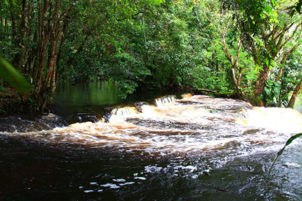 Passeio de um Dia em Presidente Figueiredo - Cachoeira do Mutum - Cachoeira Pedra Furada - Refúgio da Maroaga — foto 4 de 7