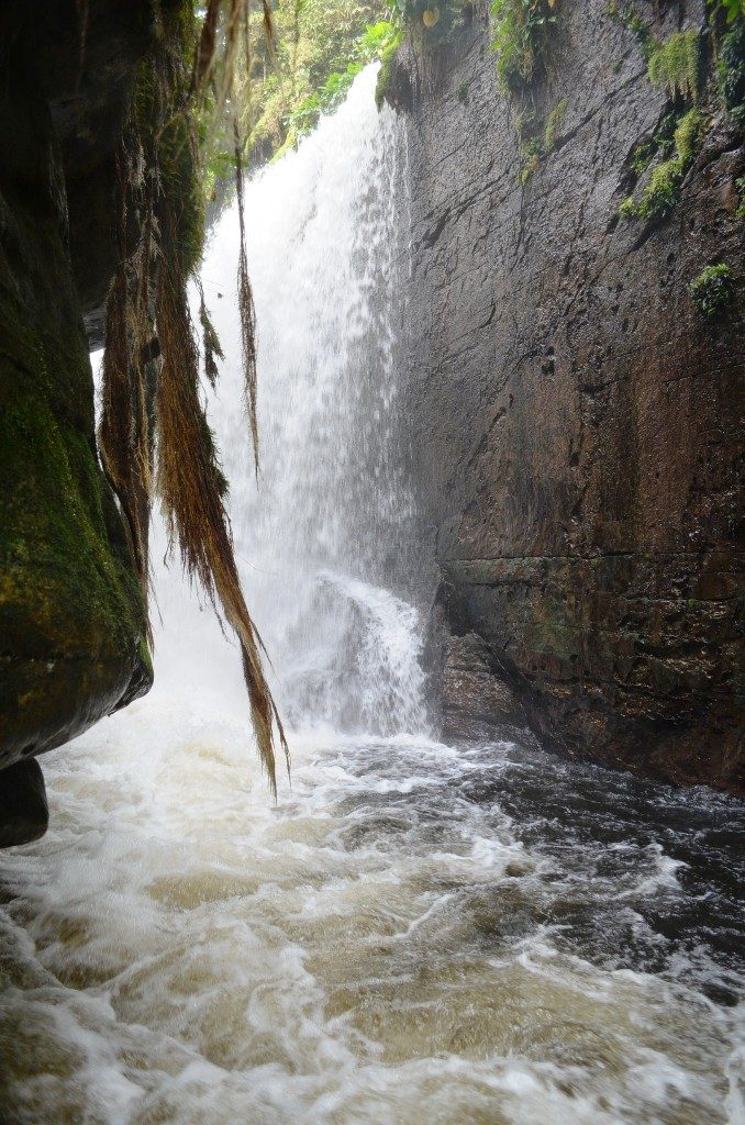 Passeio de um Dia em Presidente Figueiredo - Cachoeira do Mutum - Cachoeira Pedra Furada - Refúgio da Maroaga — foto 3 de 7