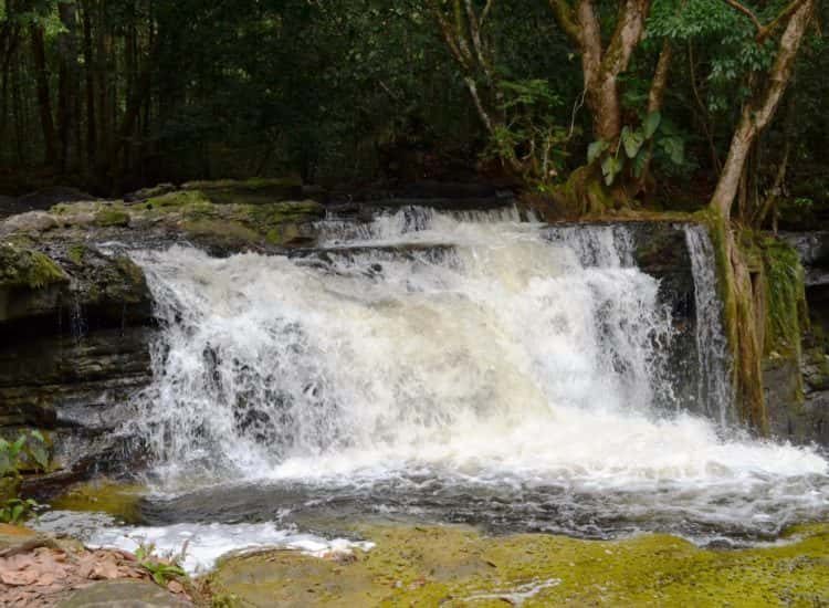 Passeio de um Dia em Presidente Figueiredo - Cachoeira do Mutum - Cachoeira Pedra Furada - Refúgio da Maroaga — foto 6 de 7