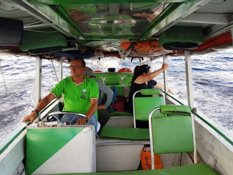 Tour Noturno de Pesca de Piranha e Focagem de Jacaré — foto 4 de 5