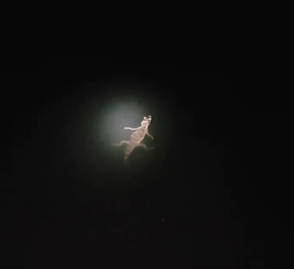 Tour Noturno de Pesca de Piranha e Focagem de Jacaré — foto 3 de 5