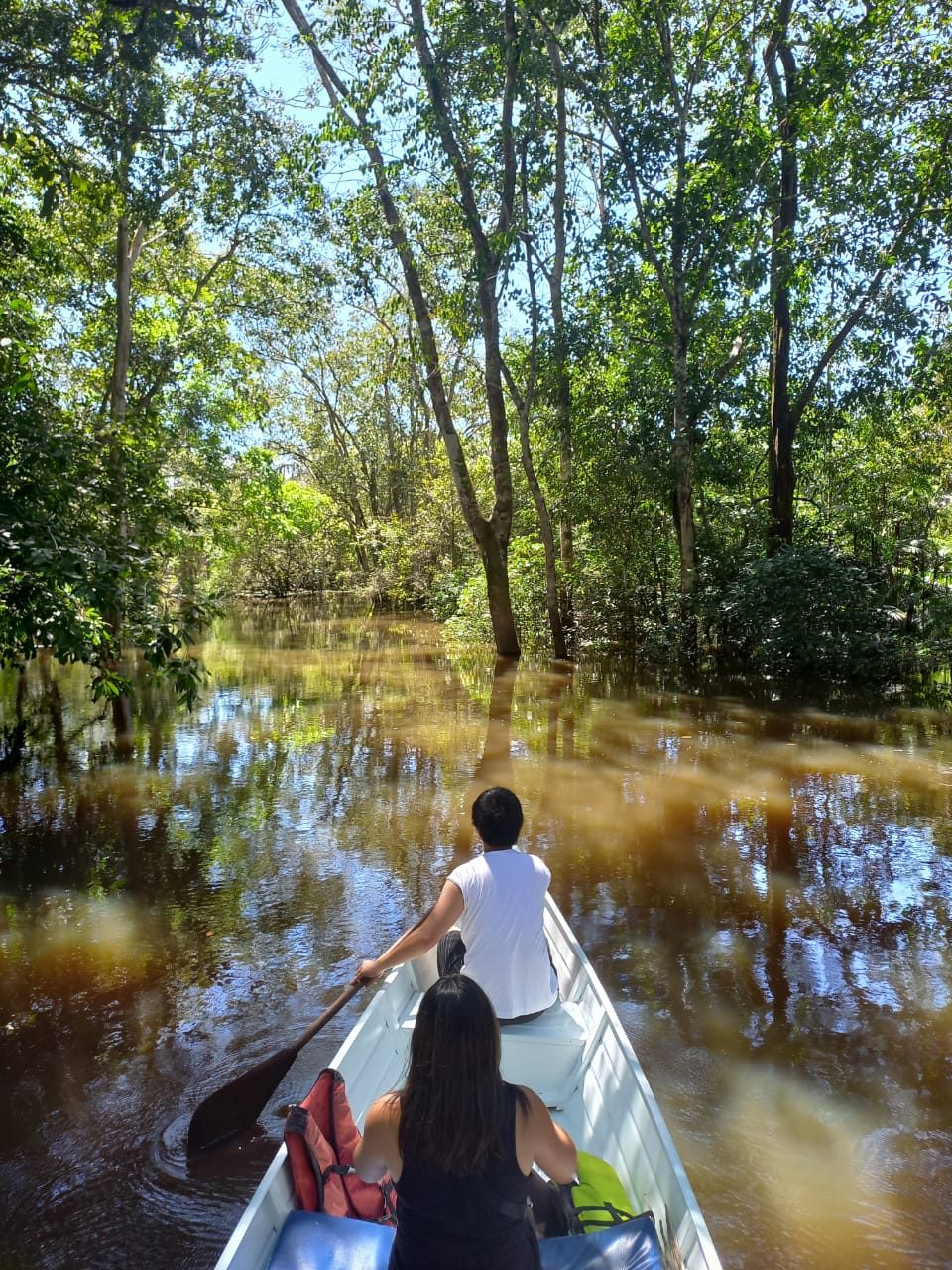 Trilha na Selva Amazônica e Arquipélago de Anavilhanas