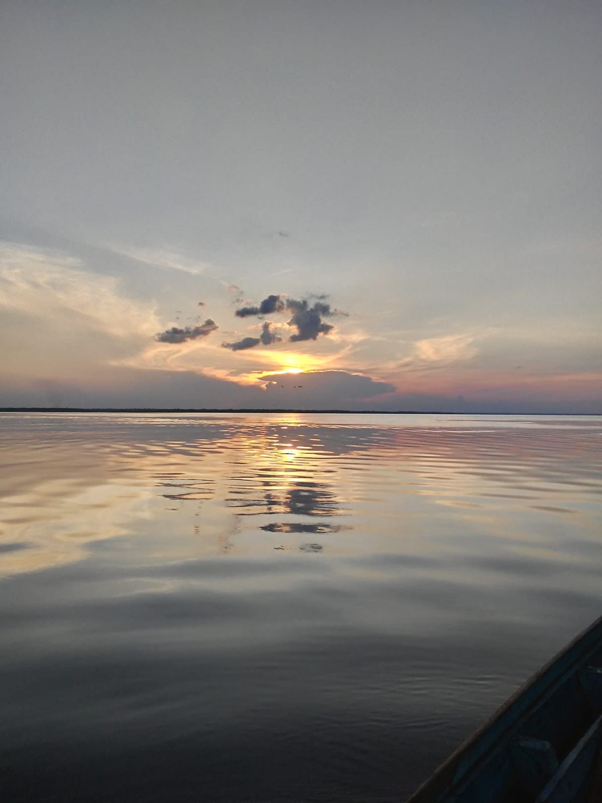 Trilha na Selva Amazônica e Arquipélago de Anavilhanas — foto 4 de 8