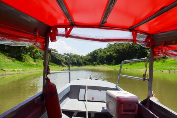 Trilha na Selva Amazônica e Arquipélago de Anavilhanas — foto 6 de 8