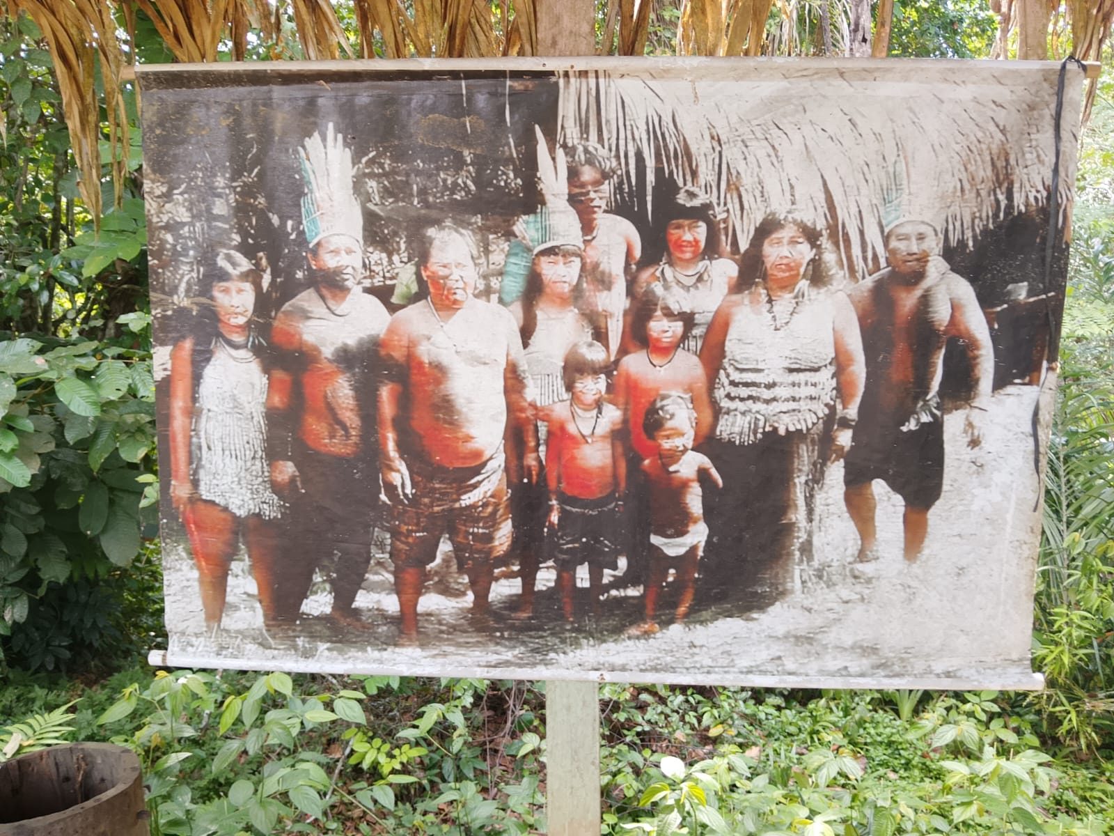 Viagem de Dia Inteiro ao Ritual da Tribo das Formigas Tucandeira — foto 7 de 8