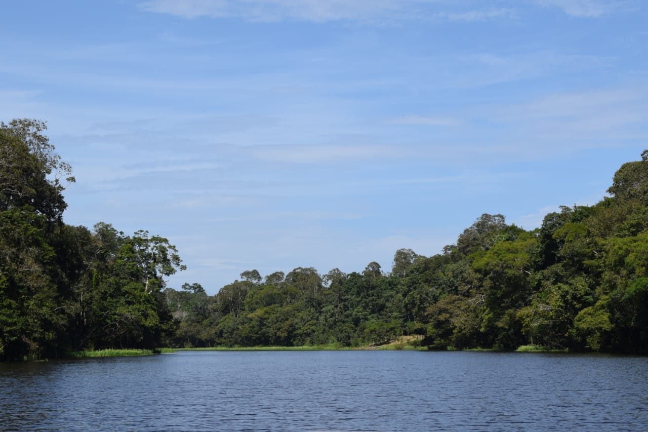EXPERIÊNCIA DE TREKKING NA SELVA AMAZÔNICA — foto 6 de 6