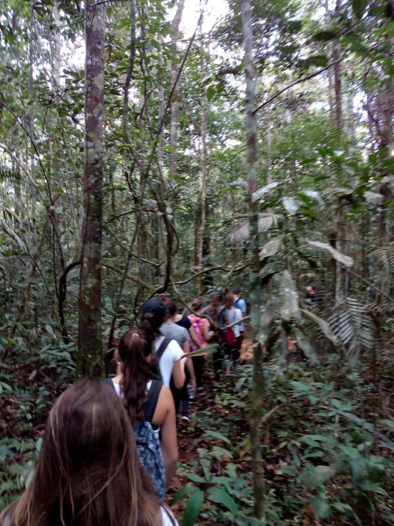 EXPERIÊNCIA DE TREKKING NA SELVA AMAZÔNICA — foto 4 de 6