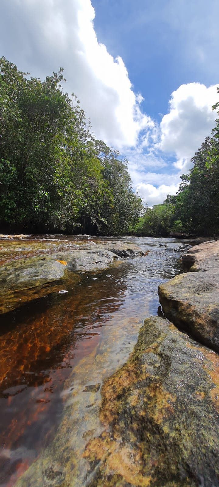 Excursão de 2 dias pela Floresta Amazônica e Lago Ipanema (Quarto com ar-condicionado)