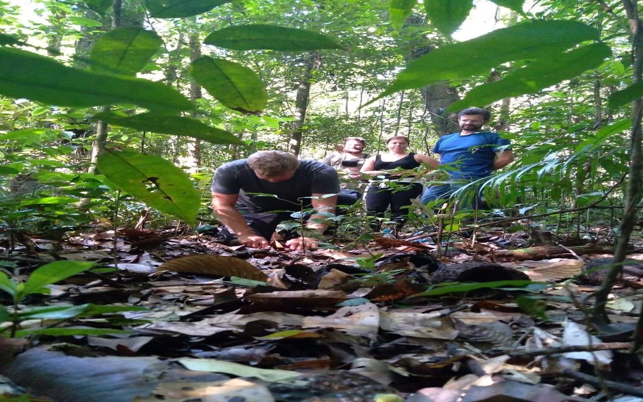 Excursão de 2 dias pela Floresta Amazônica e Lago Ipanema (Quarto com ar-condicionado) — foto 7 de 7