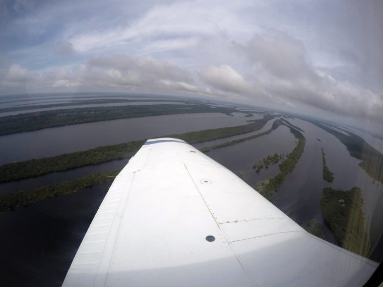 Voo Panorâmico de Avião pela Floresta Amazônica - 30 min 5.0 — foto 2 de 4