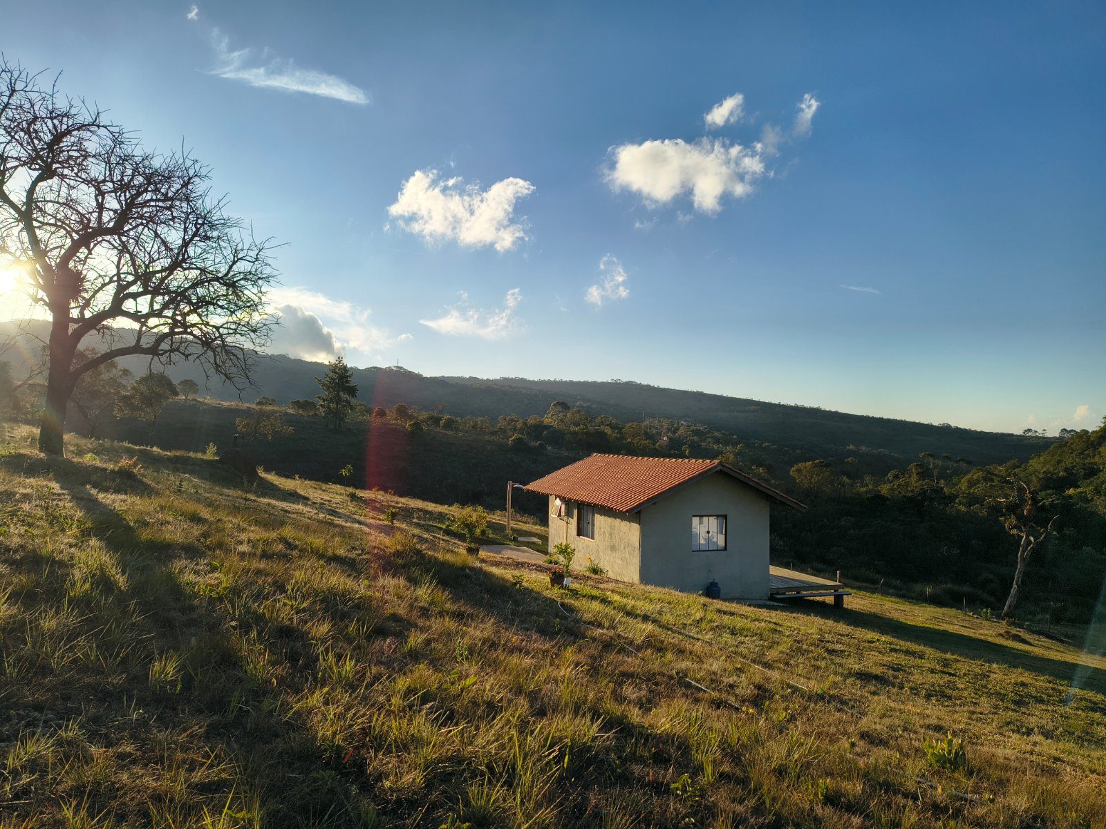 Nativo da Terra