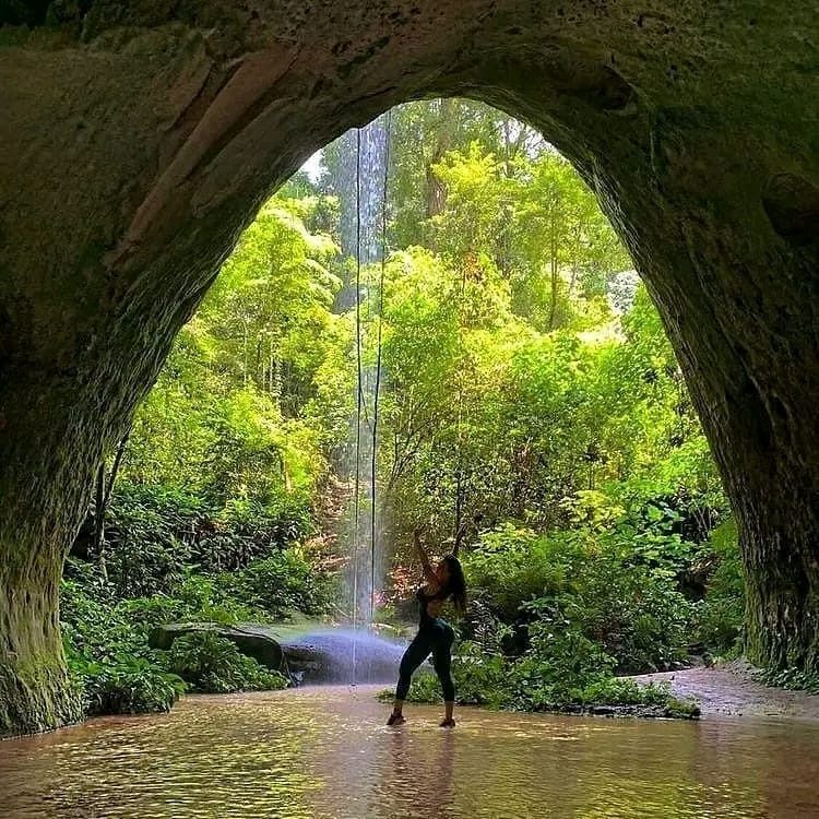 Biotur Amazonas