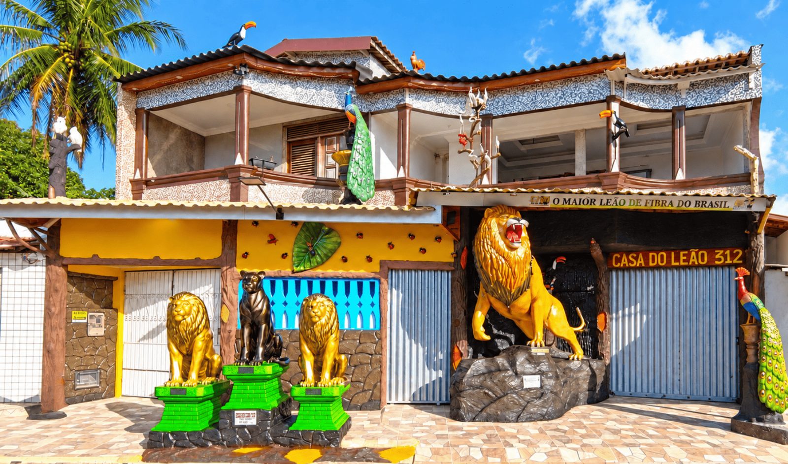 CASA DO LEÃO 312