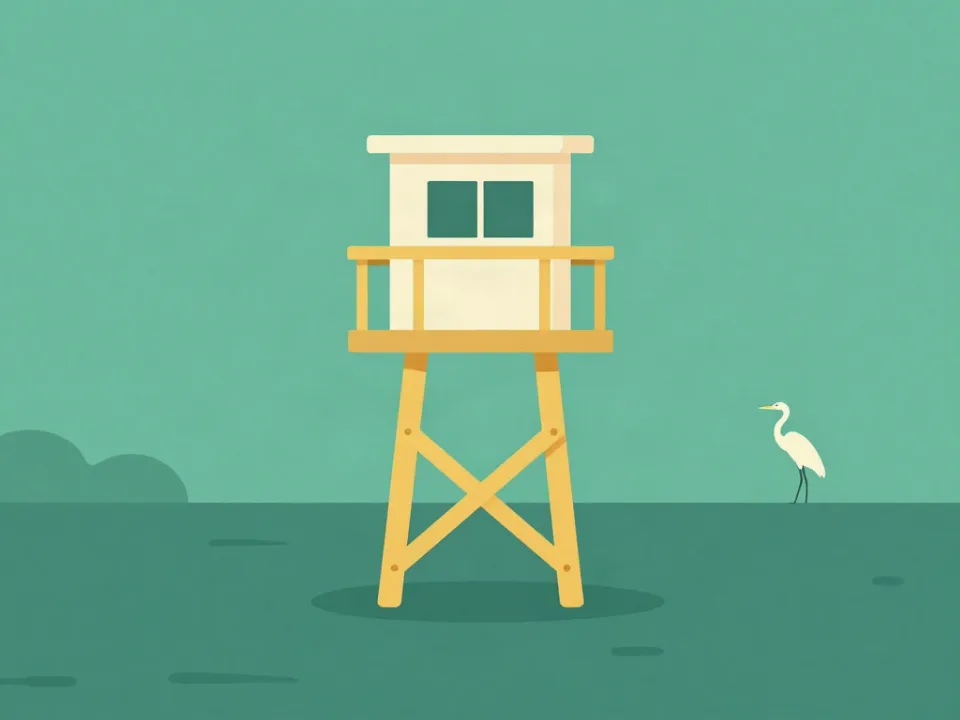 Observatório de aves